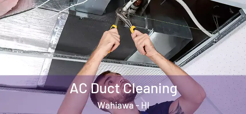  AC Duct Cleaning Wahiawa - HI