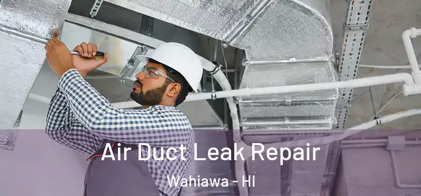  Air Duct Leak Repair Wahiawa - HI