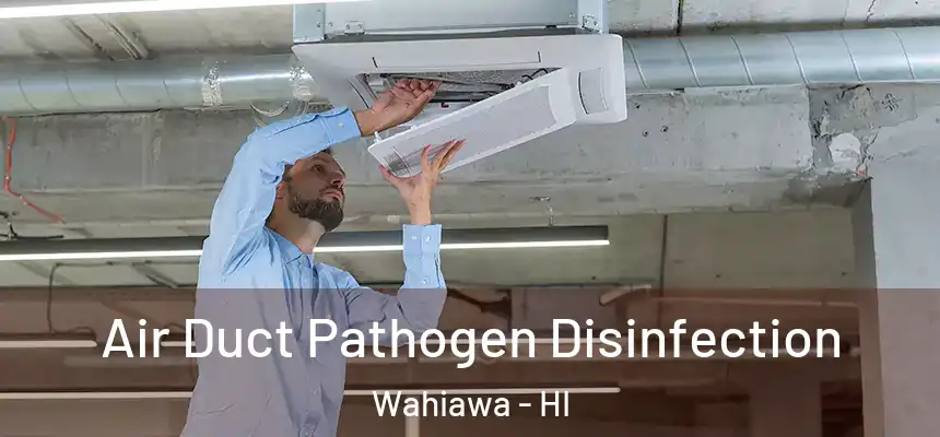 Air Duct Pathogen Disinfection Wahiawa - HI