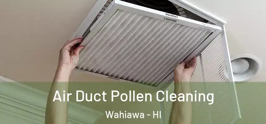 Air Duct Pollen Cleaning Wahiawa - HI