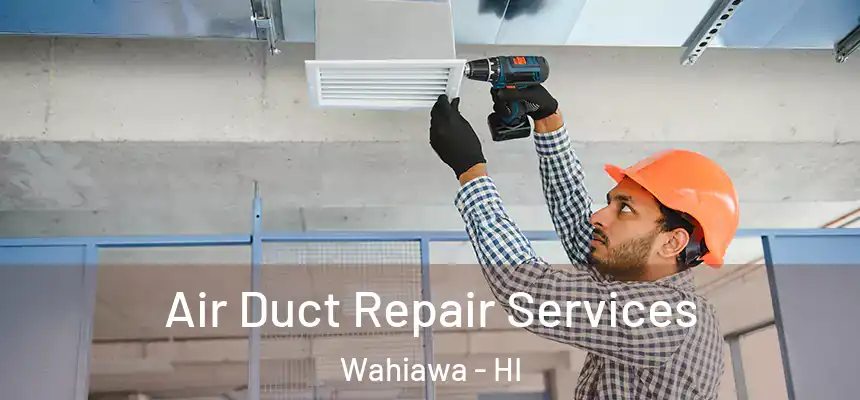  Air Duct Repair Services Wahiawa - HI