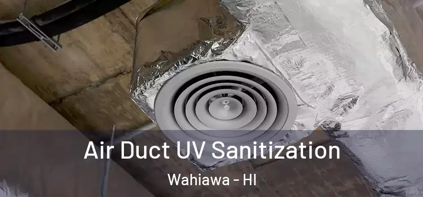  Air Duct UV Sanitization Wahiawa - HI