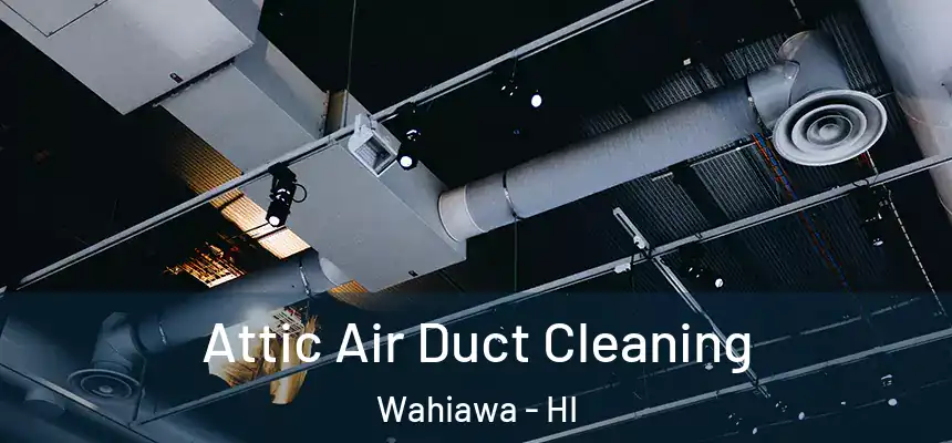 Attic Air Duct Cleaning Wahiawa - HI