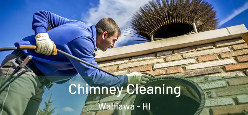  Chimney Cleaning Wahiawa - HI