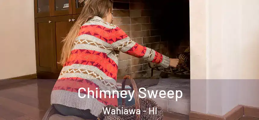  Chimney Sweep Wahiawa - HI