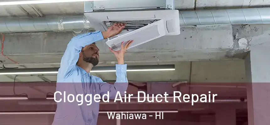  Clogged Air Duct Repair Wahiawa - HI