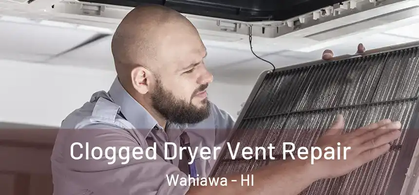  Clogged Dryer Vent Repair Wahiawa - HI