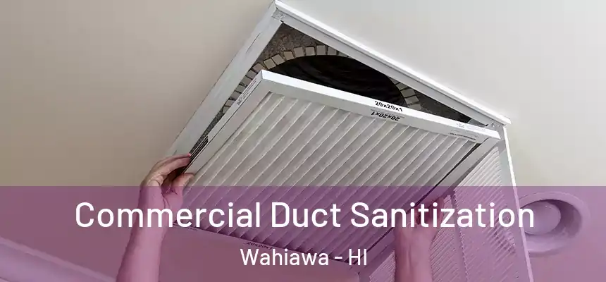  Commercial Duct Sanitization Wahiawa - HI