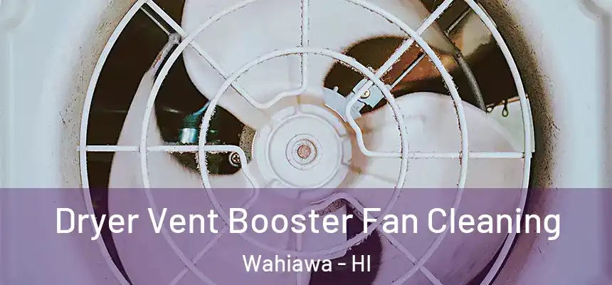  Dryer Vent Booster Fan Cleaning Wahiawa - HI
