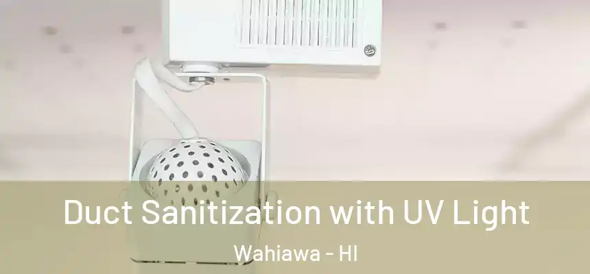  Duct Sanitization with UV Light Wahiawa - HI