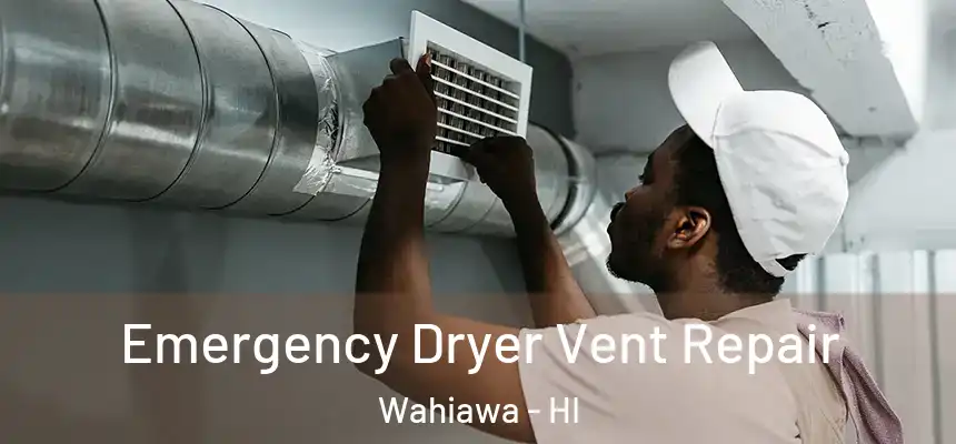  Emergency Dryer Vent Repair Wahiawa - HI