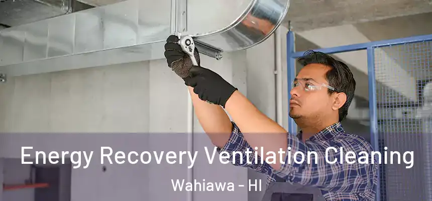  Energy Recovery Ventilation Cleaning Wahiawa - HI