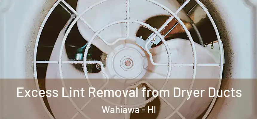  Excess Lint Removal from Dryer Ducts Wahiawa - HI