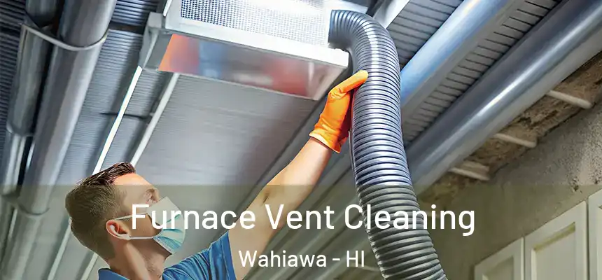  Furnace Vent Cleaning Wahiawa - HI