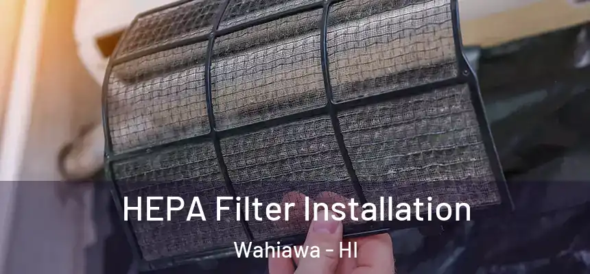  HEPA Filter Installation Wahiawa - HI