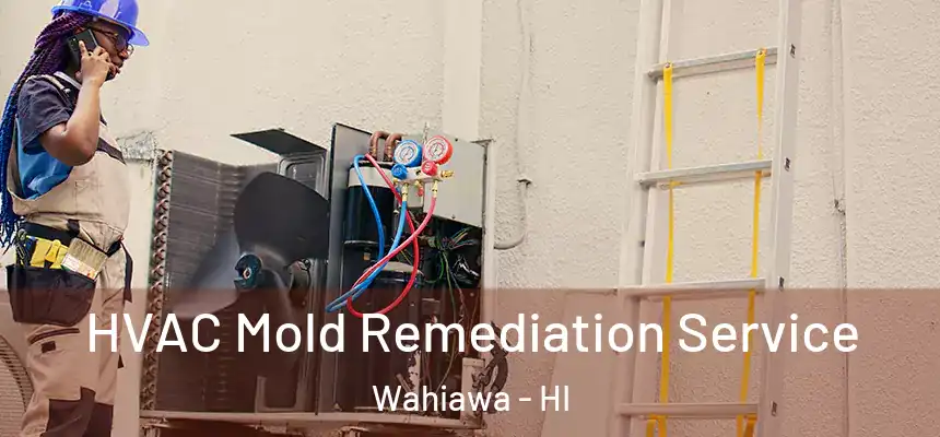  HVAC Mold Remediation Service Wahiawa - HI