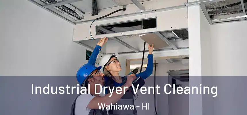  Industrial Dryer Vent Cleaning Wahiawa - HI