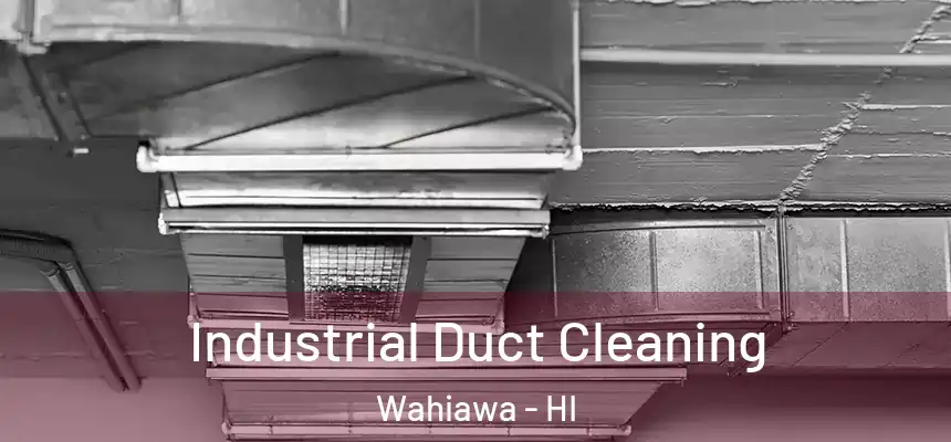  Industrial Duct Cleaning Wahiawa - HI