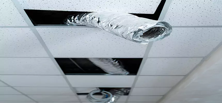 Affordable HVAC Sanitizing After Pest Removal in Wahiawa