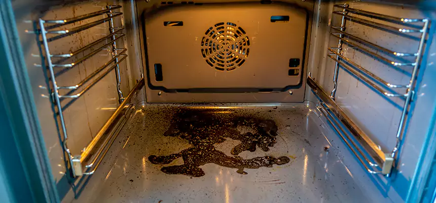 Our Dryer Vent Mold Cleaning Services in Wahiawa, HI