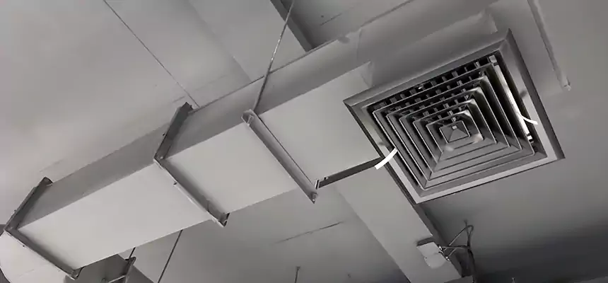 Our Pest Removal From Ducts Services in Wahiawa, HI