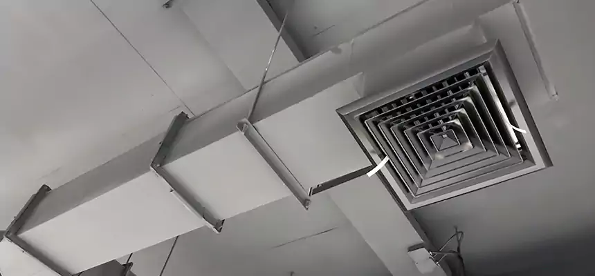 Our Rodent Droppings In Vents Services in Wahiawa, HI