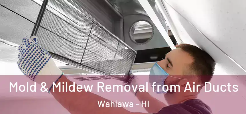  Mold & Mildew Removal from Air Ducts Wahiawa - HI