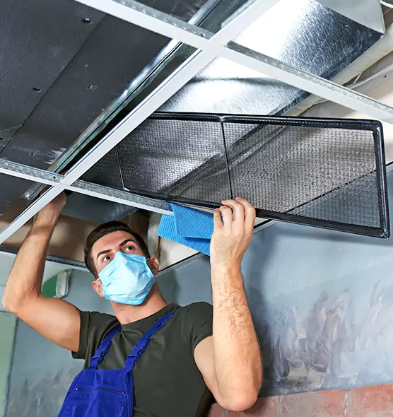 About Air Duct Bacteria Removal in Wahiawa