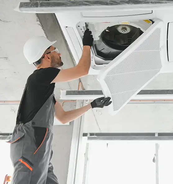 About Air Duct Rodent Removal in Wahiawa, HI