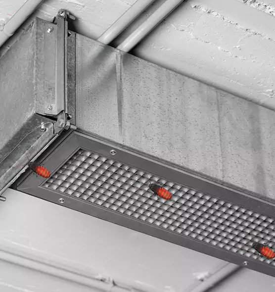 Affordable Insect Removal from Air Ducts in Wahiawa, HI