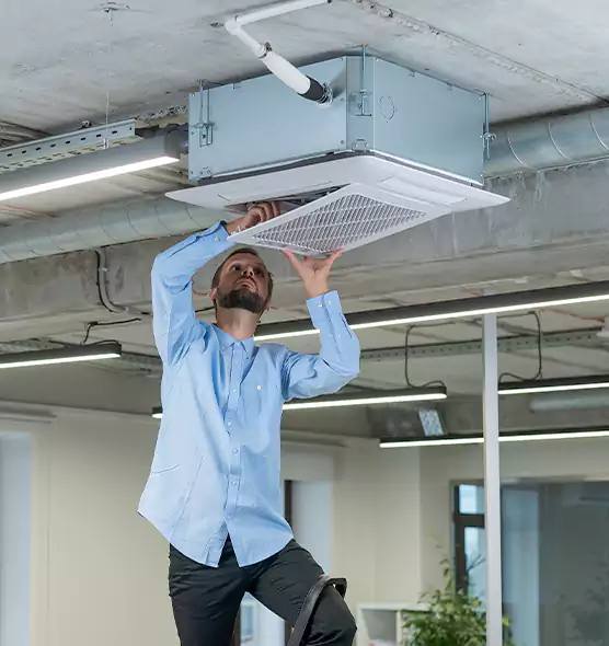 Advanced Rodent Droppings In Vents in Wahiawa, HI