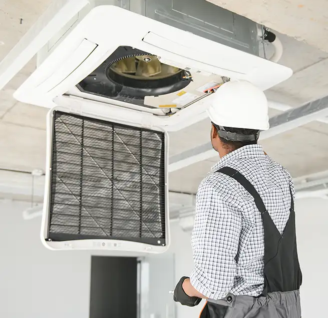 Why Homeowners & Businesses Trust Us in Wahiawa, HI?