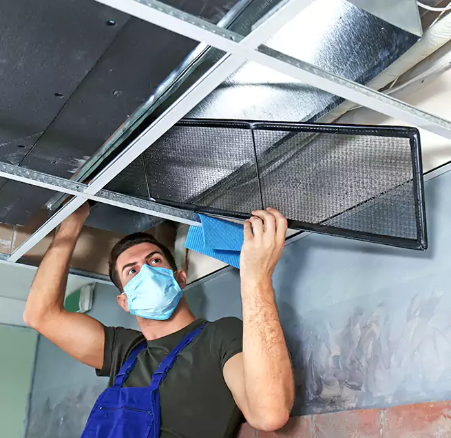 Why Homeowners Businesses Trust Us in Wahiawa, HI