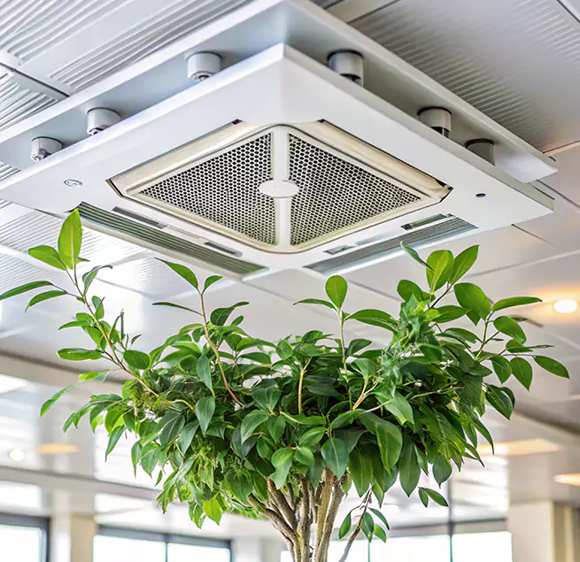 Why Homeowners & Businesses Trust Us in Wahiawa, HI?