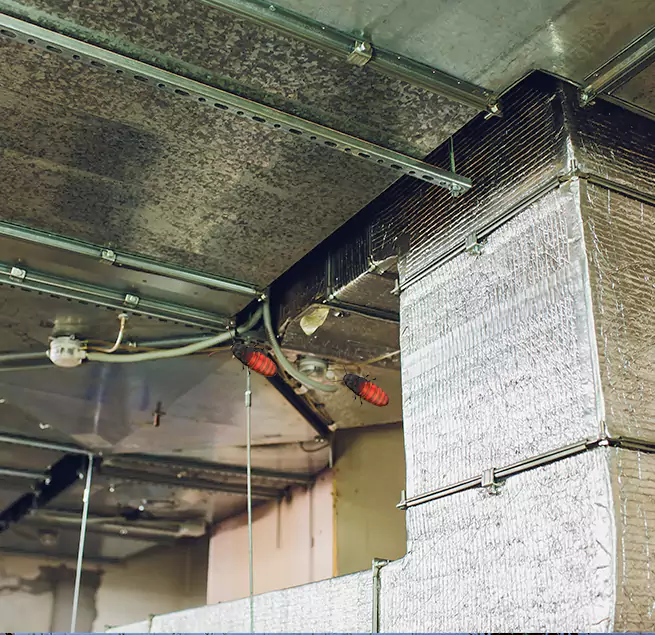 Why Homeowners & Businesses Trust Us Wahiawa, HI?