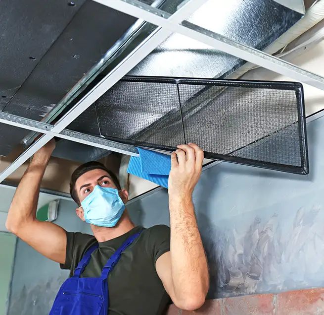 Why Homeowners & Businesses Trust Us in Wahiawa, HI?