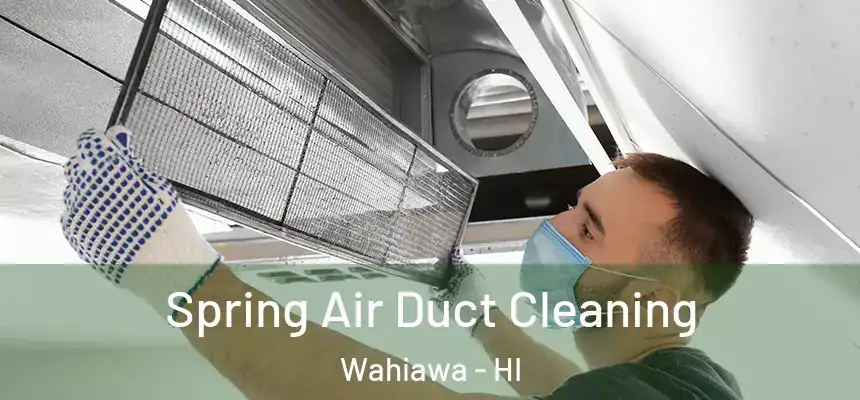  Spring Air Duct Cleaning Wahiawa - HI