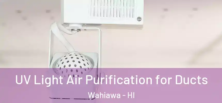  UV Light Air Purification for Ducts Wahiawa - HI