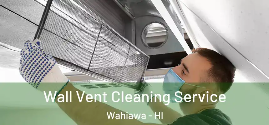  Wall Vent Cleaning Service Wahiawa - HI
